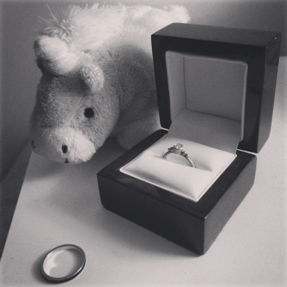 Day 119: I got engaged!
